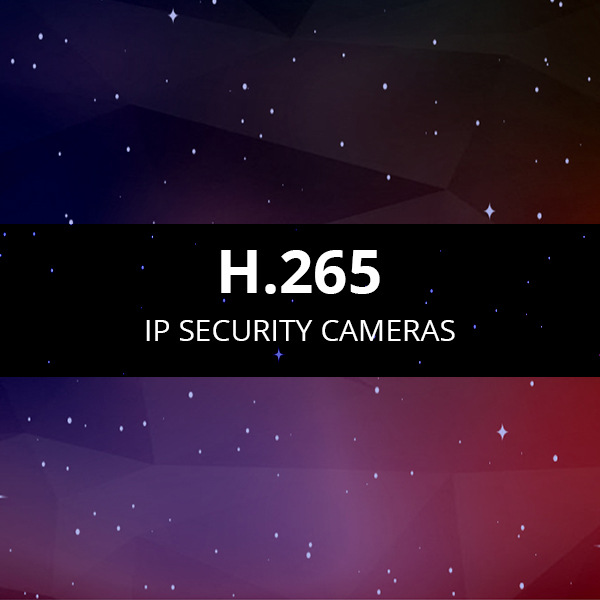 H.265 Security Cameras