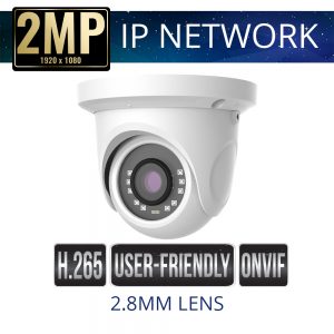 2.8mm 2mp Economy IP Dome Camera Weatherproof with IR